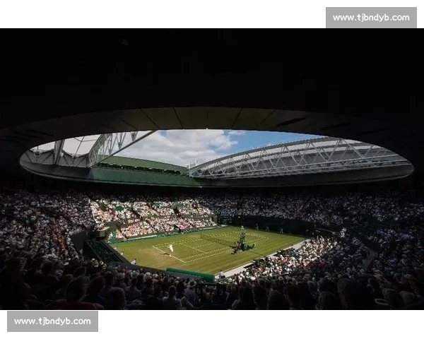 草地盛宴即将开启！温网赛程细节大曝光，精彩不容错过